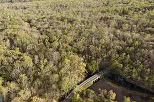 9401 Mill Pond Rd, Spotsylvania, VA 22551 - Photo 39