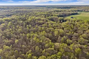 9401 Mill Pond Rd, Spotsylvania, VA 22551 - Photo 35