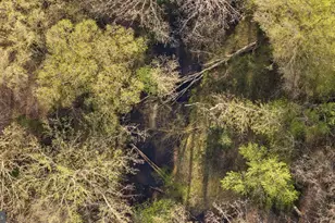 9401 Mill Pond Rd, Spotsylvania, VA 22551 - Photo 37