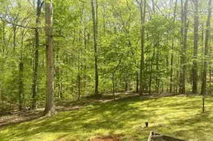 6009 Noranda Dr, Mineral, VA 23117 - Photo 3