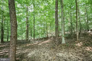 10108 Willow Ridge Ln, Spotsylvania, VA 22553 - Photo 15