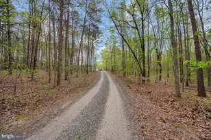 11326 Wheeler Rd, Spotsylvania, VA 22551 - Photo 47