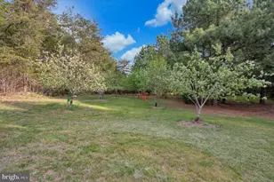 11326 Wheeler Rd, Spotsylvania, VA 22551 - Photo 51