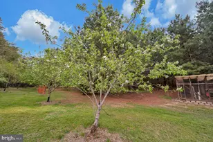 11326 Wheeler Rd, Spotsylvania, VA 22551 - Photo 45