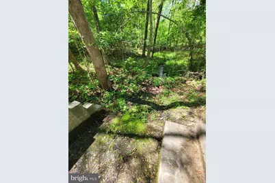 6000 Haleys Mill Road, Spotsylvania, VA 22551 - Photo 77