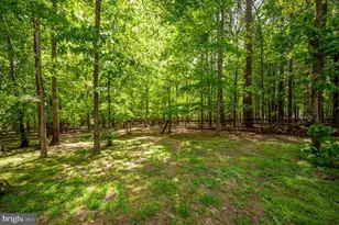 11326 Fawn Lake Pkwy, Spotsylvania, VA 22551 - Photo 99
