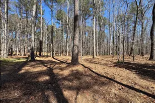 12001 Honor Bridge Farm Dr, Spotsylvania, VA 22551 - Photo 11