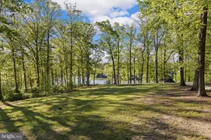 6406 Carter Ln, Mineral, VA 23117 - Photo 85