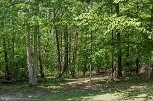 228 Morgan, Spotsylvania, VA 22553 - Photo 31