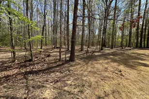 5003 Holly Dr, Partlow, VA 22534 - Photo 33