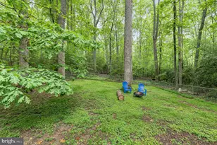 12401 Wilderness Park Dr, Spotsylvania, VA 22551 - Photo 23