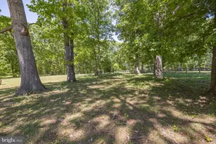 13656 Post Oak Rd, Spotsylvania, VA 22551 - Photo 53
