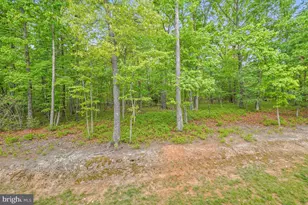 8524 Laroque Run Dr, Fredericksburg, VA 22407 - Photo 51