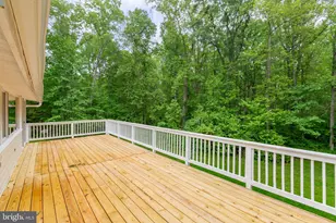 10201 Mill Pond Rd, Spotsylvania, VA 22551 - Photo 55