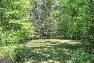 9009 Snowy Egret Ct, Spotsylvania, VA 22553 - Photo 55