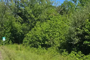 4336 Massaponax Church Rd, Fredericksburg, VA 22408 - Photo 3