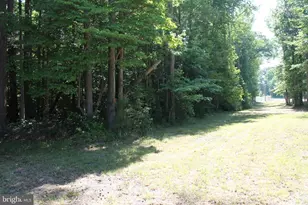 6019 and 6031 Hickory Ridge Rd, Spotsylvania, VA 22551 - Photo 27