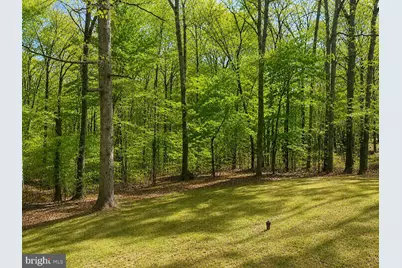 6009 Noranda Drive, Mineral, VA 23117 - Photo 3