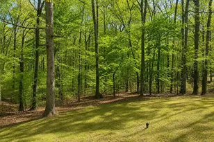 6009 Noranda Dr, Mineral, VA 23117 - Photo 3