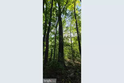 9701 Duerson Lane, Partlow, VA 22534 - Photo 5