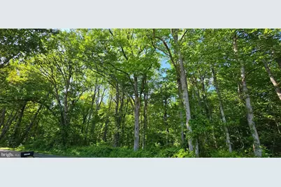 9701 Duerson Lane, Partlow, VA 22534 - Photo 3