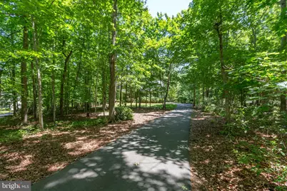13209 Chandler Court, Fredericksburg, VA 22407 - Photo 47