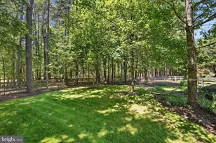 10702 Cedar Creek Dr, Spotsylvania, VA 22551 - Photo 53