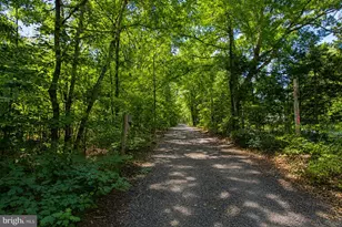 4319 Hadamar Rd, Spotsylvania, VA 22551 - Photo 7