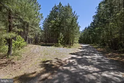 Deerwood Lane, Spotsylvania, VA 22553 - Photo 11