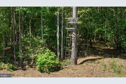 Deerwood Lane, Spotsylvania, VA 22553 - Photo 5