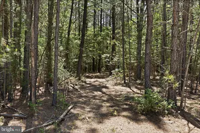 Deerwood Lane, Spotsylvania, VA 22553 - Photo 23