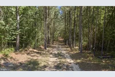 Deerwood Lane, Spotsylvania, VA 22553 - Photo 21