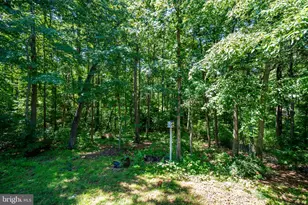 12816 Garrison Ln, Spotsylvania, VA 22551 - Photo 35