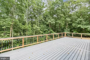 211 Hardwood Ln, Fredericksburg, VA 22408 - Photo 41
