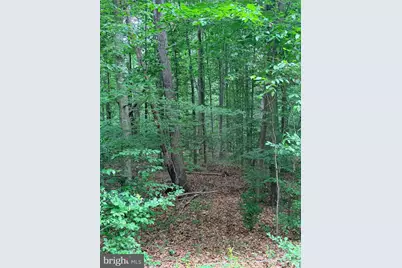 8704 Millwood Drive, Spotsylvania, VA 22551 - Photo 5