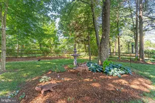 4104 Amelia Dr, Fredericksburg, VA 22408 - Photo 49