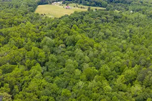 12501 W Catharpin Rd, Spotsylvania, VA 22551 - Photo 41