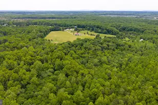 12501 W Catharpin Rd, Spotsylvania, VA 22551 - Photo 43