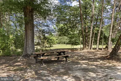 7409 River Road, Fredericksburg, VA 22407 - Photo 75