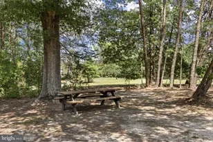 7409 River Rd, Fredericksburg, VA 22407 - Photo 75