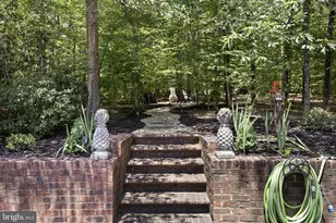7409 River Rd, Fredericksburg, VA 22407 - Photo 123