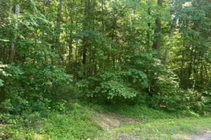 5517 Forest View Dr, Partlow, VA 22534 - Photo 1