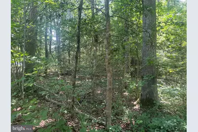 5517 Forest View Drive, Partlow, VA 22534 - Photo 5
