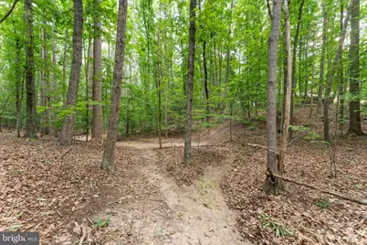 7021 Reno Lane, Fredericksburg, VA 22407 - Photo 35