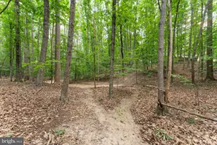 7021 Reno Ln, Fredericksburg, VA 22407 - Photo 35
