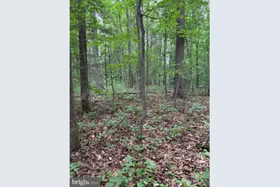 15413 Drummers Lane, Orange, VA 22960 - Photo 11