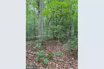 15413 Drummers Lane, Orange, VA 22960 - Photo 7