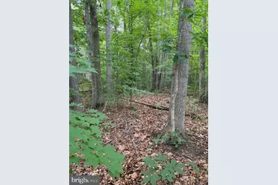 15413 Drummers Lane, Orange, VA 22960 - Photo 5