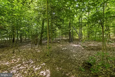 8101 Avocet Way, Spotsylvania, VA 22553 - Photo 13