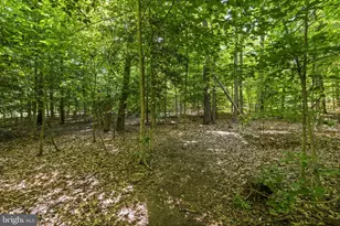 8101 Avocet Way, Spotsylvania, VA 22553 - Photo 13